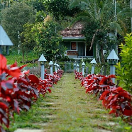 Ayurnest Pool Resort Wayanad Batheri Ngoại thất bức ảnh