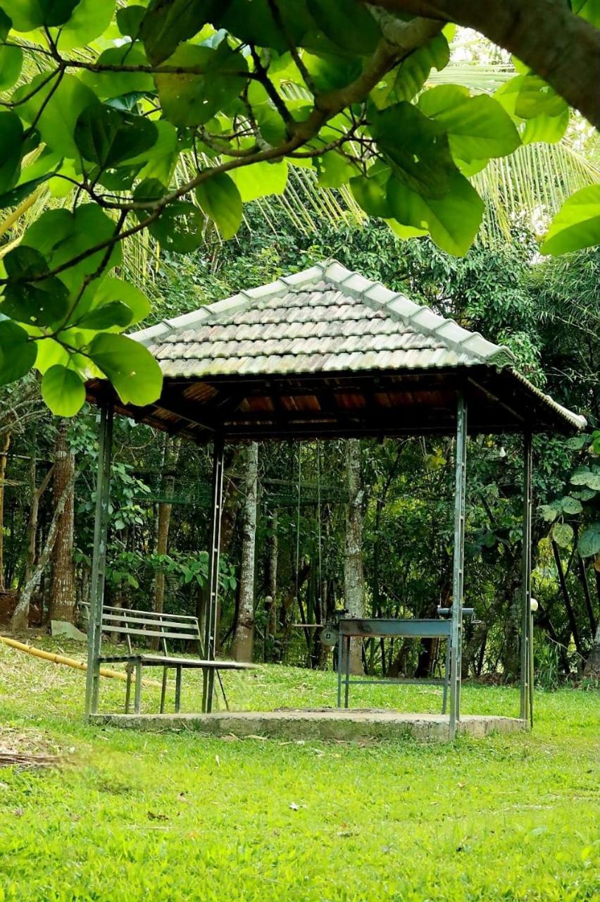 Ayurnest Pool Resort Wayanad Batheri Ngoại thất bức ảnh
