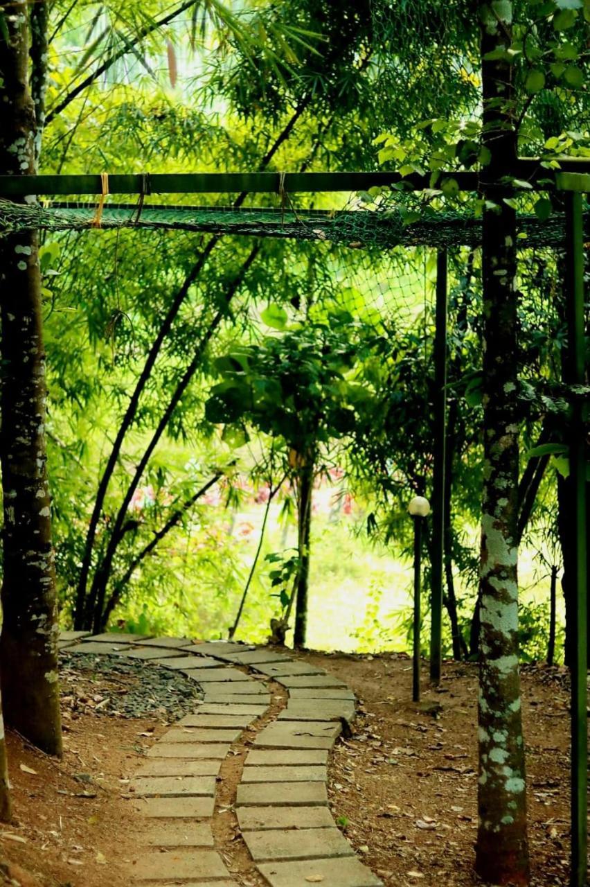 Ayurnest Pool Resort Wayanad Batheri Ngoại thất bức ảnh